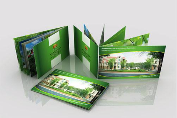 In Catalogue rẻ đẹp