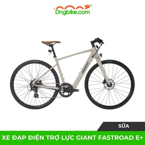 Xe đạp điện trợ lực GIANT FASTROAD E+ hiện đại chính hãng Nhà