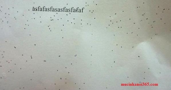 bản in bị lấm chấm đen máy in bị chấm đen trên bản in