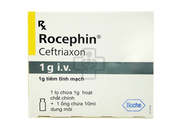Rocephin I.V. 1g