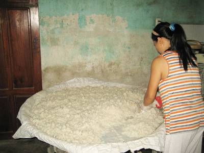 máy xay trộn men rượu