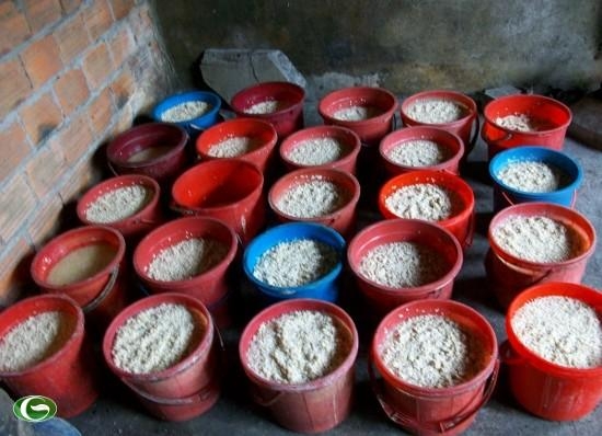 xưởng rượu thủ công có đảm bảo chất lượng