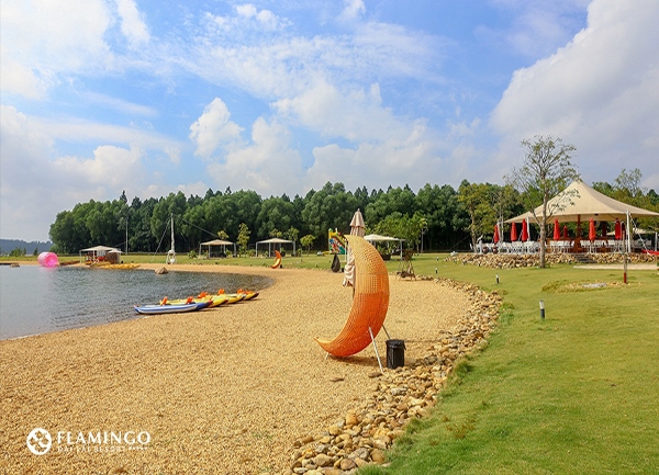 du-lich-flamingo-dai-lai-resort-tour-tot-gia-re-2024