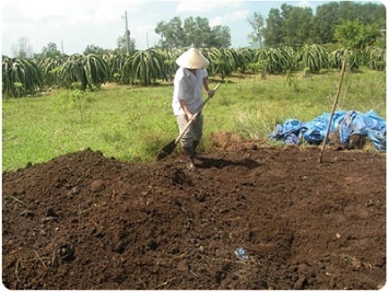 Chuyên cung cấp số lượng lớn phân chuồng hoai mục cho nhà vườn, chủ  trang trại