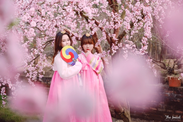 Chụp ảnh Hanbok – Niềm đa mê của giới trẻ