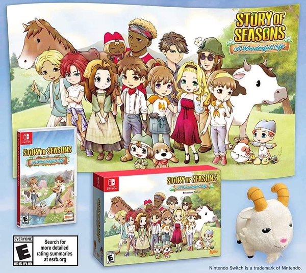 story-of-seasons-a-wonderfull-life-premium-edition-game-nintendo-switch