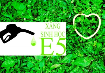 Sự khác nhau giữa xăng E5 và xăng A92