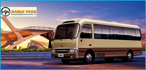 Bằng Lái Xe Ô Tô Hạng D Lái Được Xe Gì?