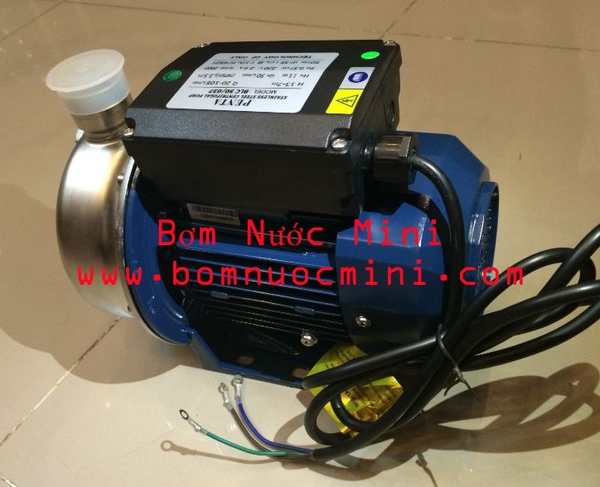 bơm đầu inox 1 pha 220v