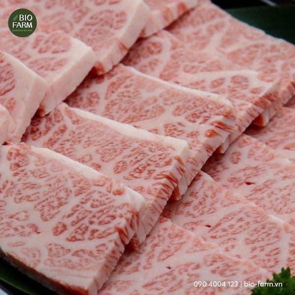 Miyazaki Wagyu Nhật Dẻ sườn - Chuck short rib