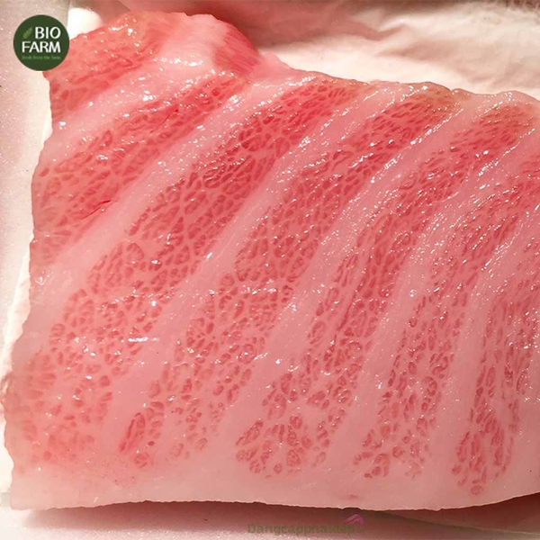 Bụng cá ngừ Otoro Nhật Bản