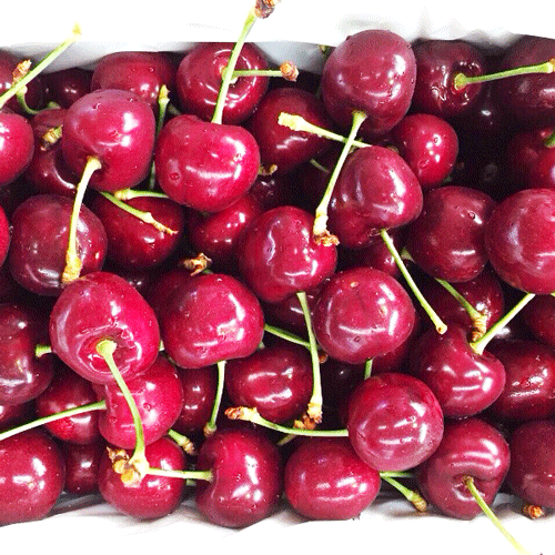 Cherry Mỹ