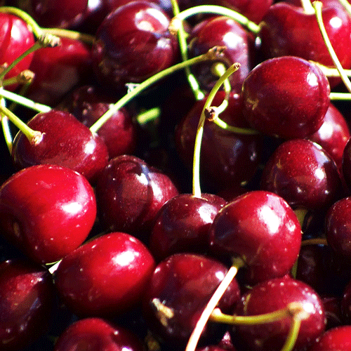 Cherry New Zealand