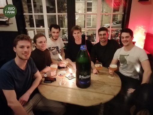 Bia chai St-Feuillien Triple 9L