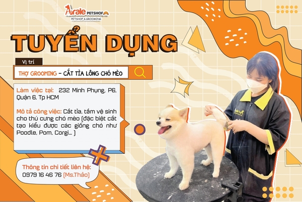 🔊🔊 ARALE PETSHOP TUYỂN DỤNG THỢ GROOMING - CĂT TỈA LÔNG CHÓ MÈO