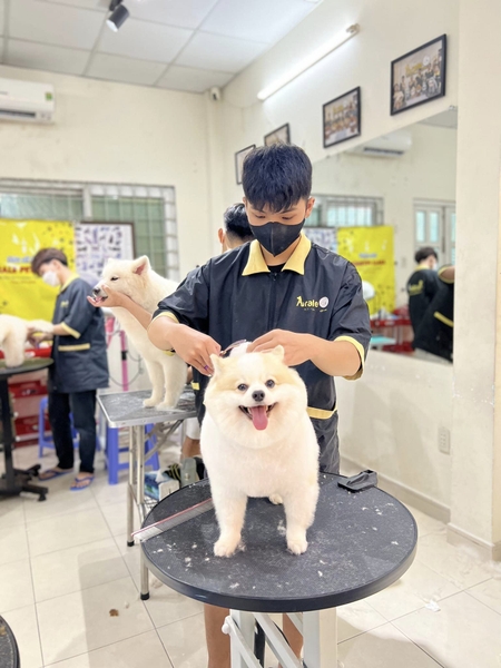 ✂️CHIÊU SINH KHÓA HỌC GROOMING 28/10 KHAI GIẢNG TẠI QUẬN 6📢