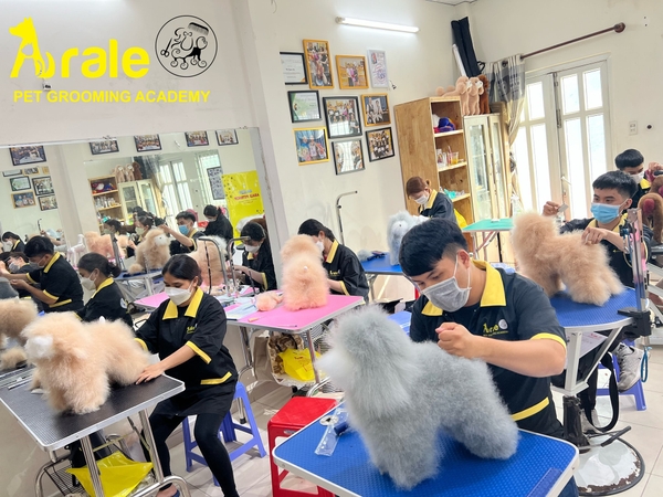 ARALE PET GROOMING ACADEMY -TRUNG TÂM ĐÀO TẠO CẮT TỈA LÔNG CHÓ MÈO CHUYÊN NGHIỆP TẠI TP. HỒ CHÍ MINH