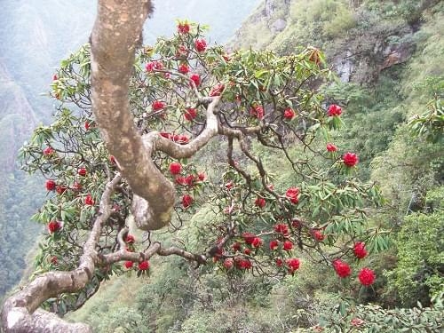 Khám phá Sapa theo phong cách mới – Du lịch Sapa