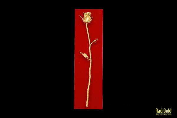 Hoa hồng tươi mạ vàng 24k