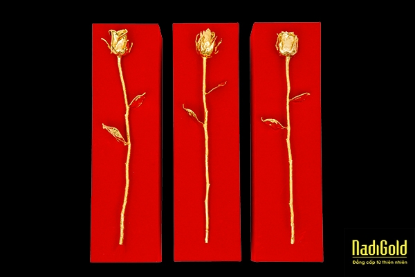 Hoa hồng tươi mạ vàng 24k