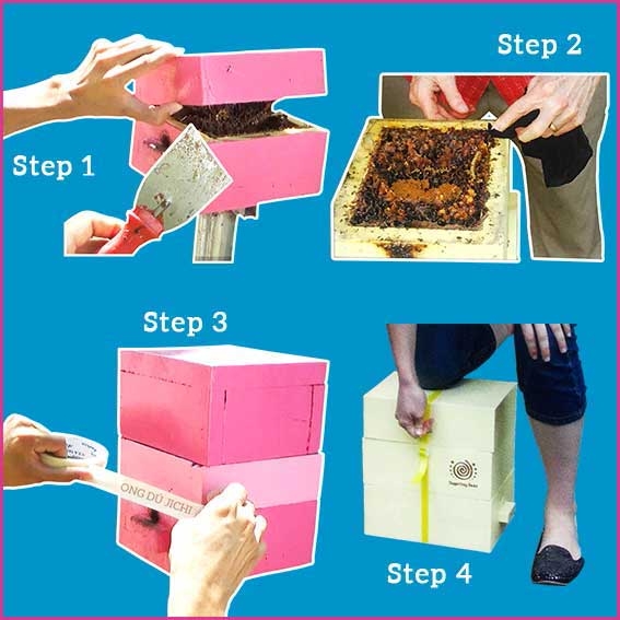 Kỹ Thuật Tách Đàn Ong dú Với Thùng Nuôi Ong Thông Minh