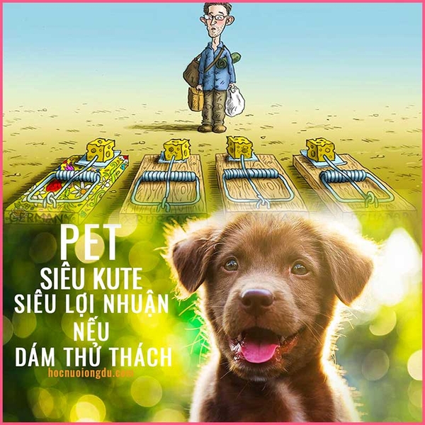 Nuôi con gì chắc ăn? 【TOP】 những vật nuôi có giá trị kinh tế cao