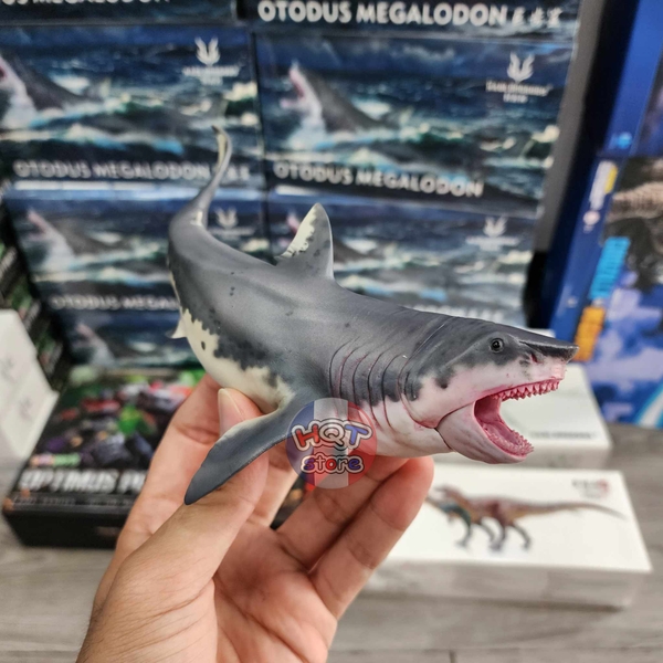 Mô hình Cá Mập Cổ Đại Megalodon Haolonggood tỉ lệ 1/35