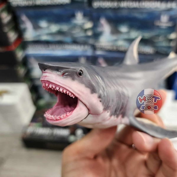 Mô hình Cá Mập Cổ Đại Megalodon Haolonggood tỉ lệ 1/35