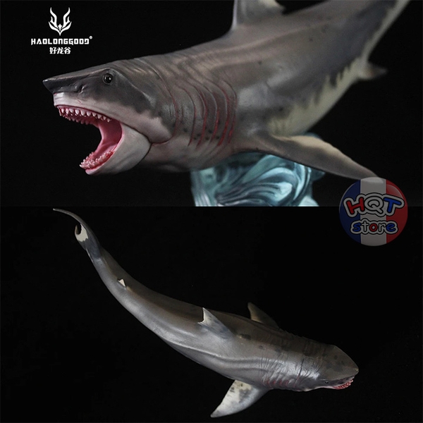 Mô hình Cá Mập Cổ Đại Megalodon Haolonggood tỉ lệ 1/35