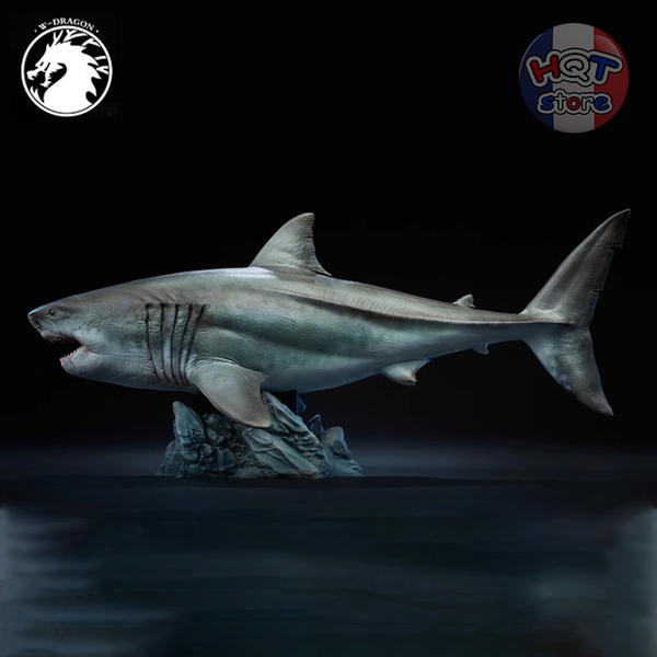 Mô hình Cá Mập Cổ Đại Megalodon W-Dragon tỉ lệ 1/35 45cm