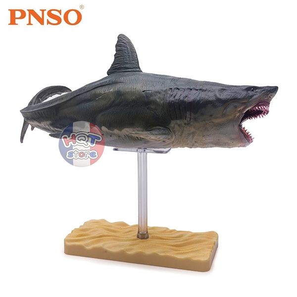 Mô hình Cá Mập Khổng Lồ Cổ Đại Megalodon Patton PNSO 10