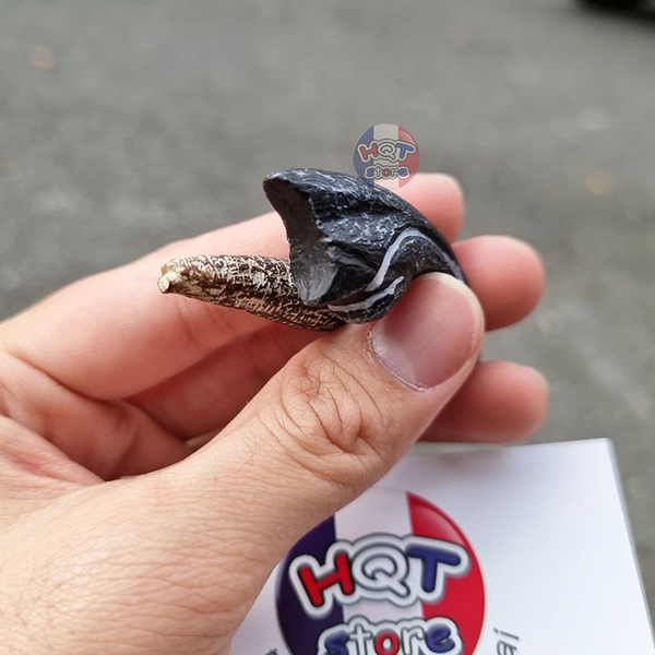 Mô hình hoá thạch răng móng vuốt khủng long Allosaurus CollectA 89288