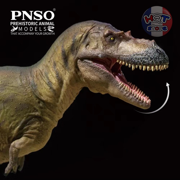 Mô hình khủng long Albertosaurus PNSO 72 Wally tỉ lệ 1/35