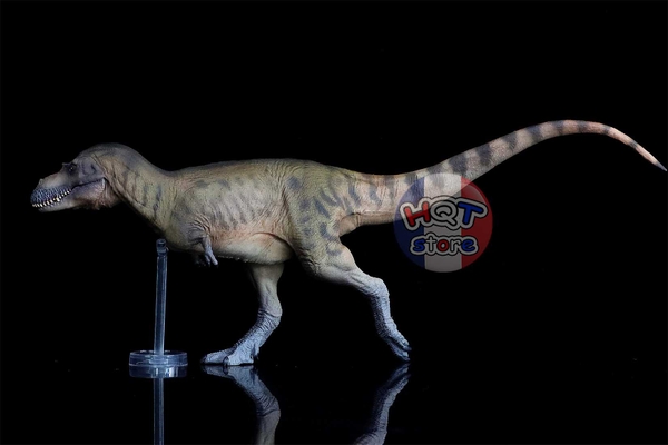 Mô hình khủng long Albertosaurus PNSO 72 Wally tỉ lệ 1/35