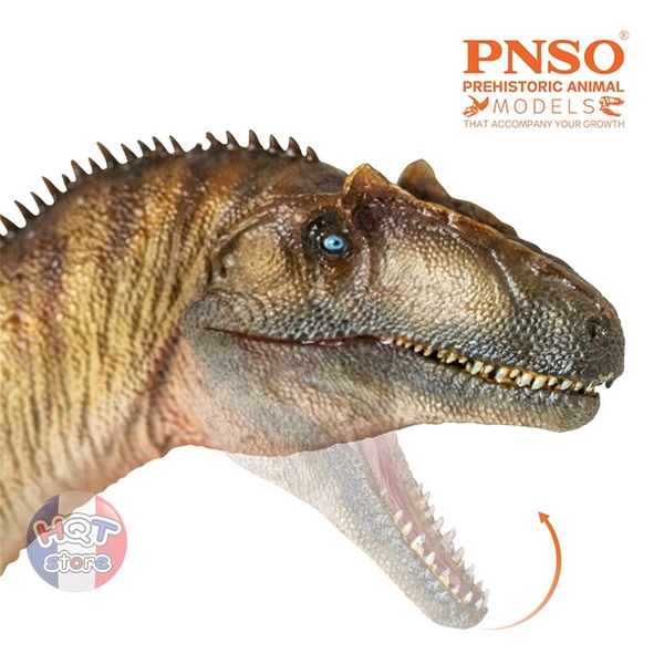 Mô hình Khủng Long Allosaurus Paul PNSO 2021 tỉ lệ 1/35