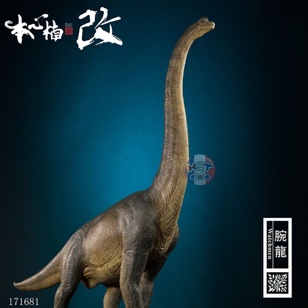 Mô hình khủng long Brachiosaurus Nanmu tỉ lệ 1/35 chính hãng (PVC)