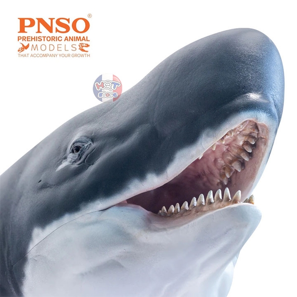 Mô hình khủng long Cá Voi Livyatan Requena PNSO 2021 tỉ lệ 1/35