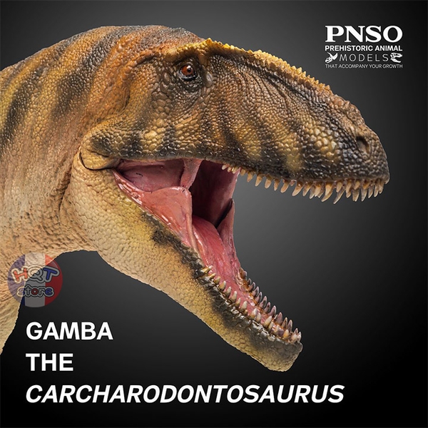 Mô hình Khủng Long Carcharodontosaurus PNSO 2021 tỉ lệ 1/35 chính hãng