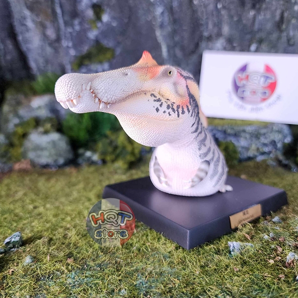 Mô hình khủng long Carnotaurus Stegosaurus Spinosaurus ANIMAL PLANET