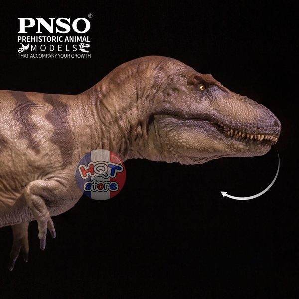 Mô hình khủng long Daspletosaurus PNSO 73 Cole tỉ lệ 1/35
