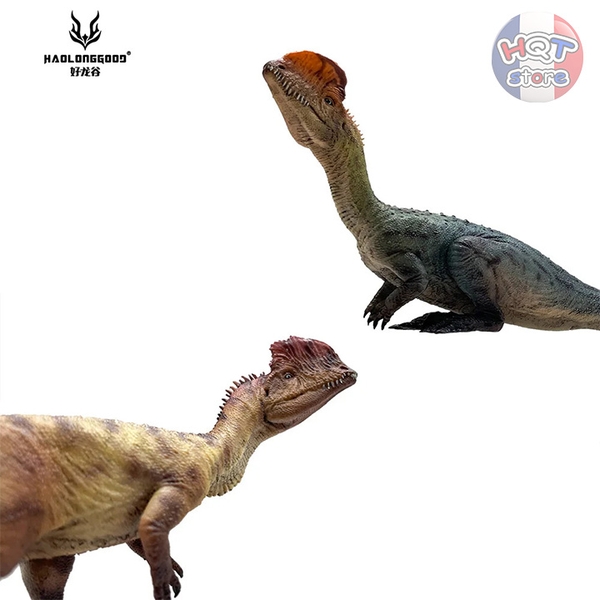 Mô hình Khủng Long Dilophosaurus Haolonggood tỉ lệ 1/35