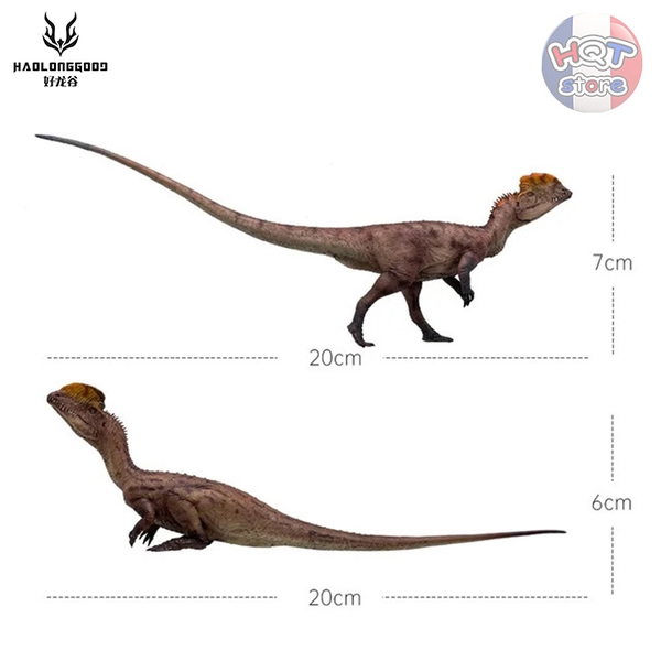Mô hình Khủng Long Dilophosaurus Haolonggood tỉ lệ 1/35