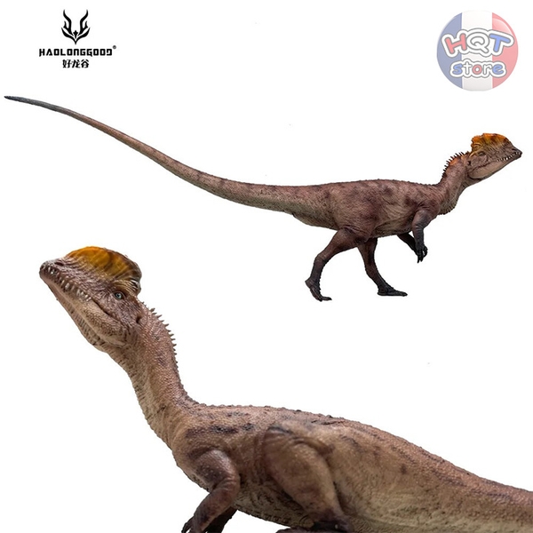 Mô hình Khủng Long Dilophosaurus Haolonggood tỉ lệ 1/35