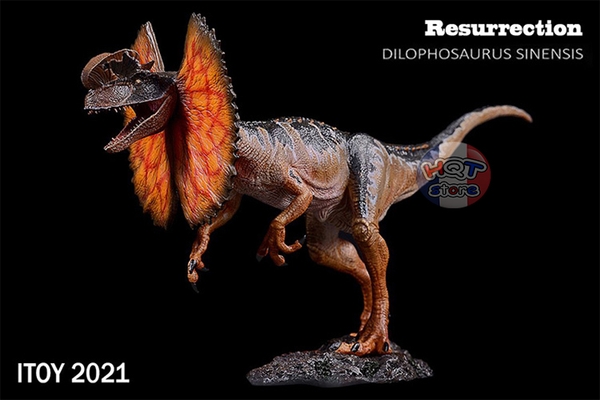 Mô hình khủng long Dilophosaurus Sinensis iToy tỉ lệ 1/35 chính hãng