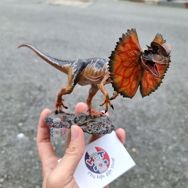 Mô hình khủng long Dilophosaurus Sinensis iToy tỉ lệ 1/35 chính hãng