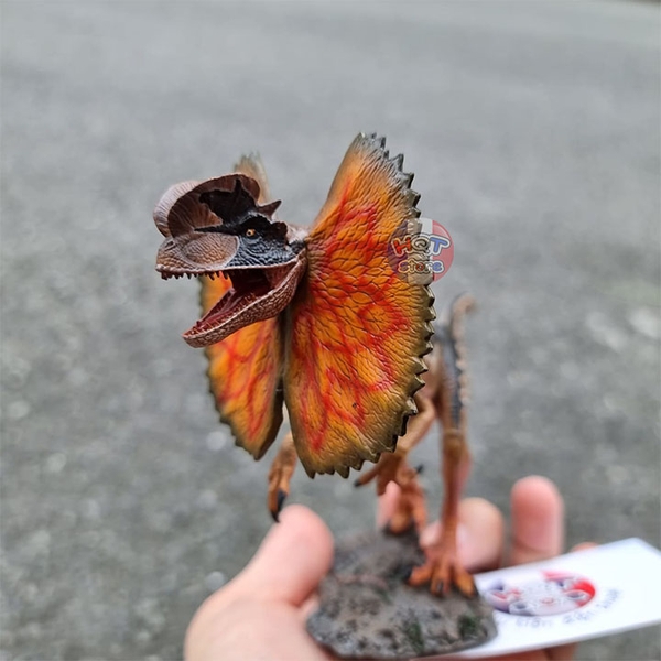 Mô hình khủng long Dilophosaurus Sinensis iToy tỉ lệ 1/35 chính hãng