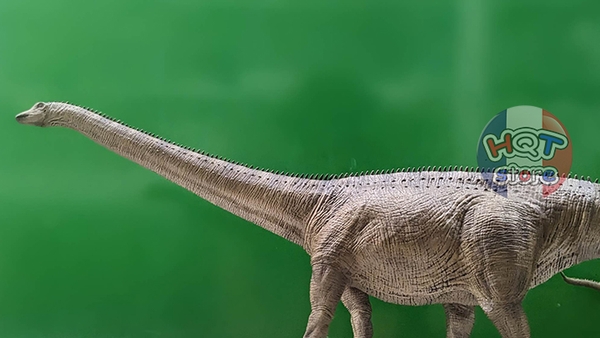 Mô Hình Khủng Long Diplodocus Rebor tỉ lệ 1/35 chính hãng