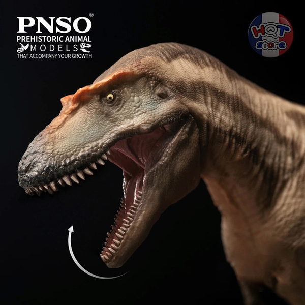 Mô hình khủng long Gorgosaurus PNSO 71 Tristan tỉ lệ 1/35