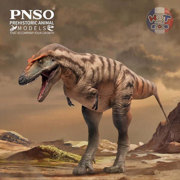 Mô hình khủng long Gorgosaurus PNSO 71 Tristan tỉ lệ 1/35