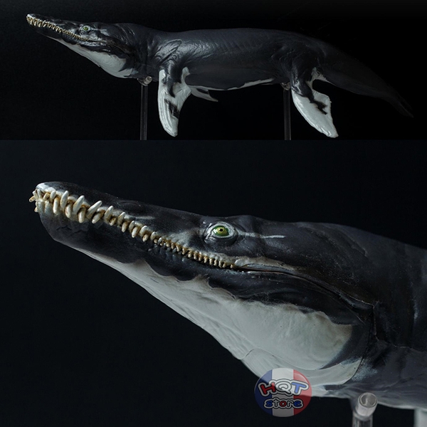 Mô hình Khủng Long Kronosaurus Jeff PNSO 2021 tỉ lệ 1/35 chính hãng